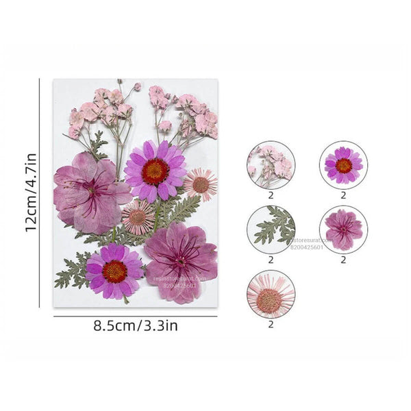 10 In 1 Purple Pressed Dry Flowers