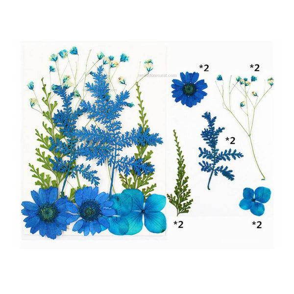 10 In 1 Pressed Dry Flowers