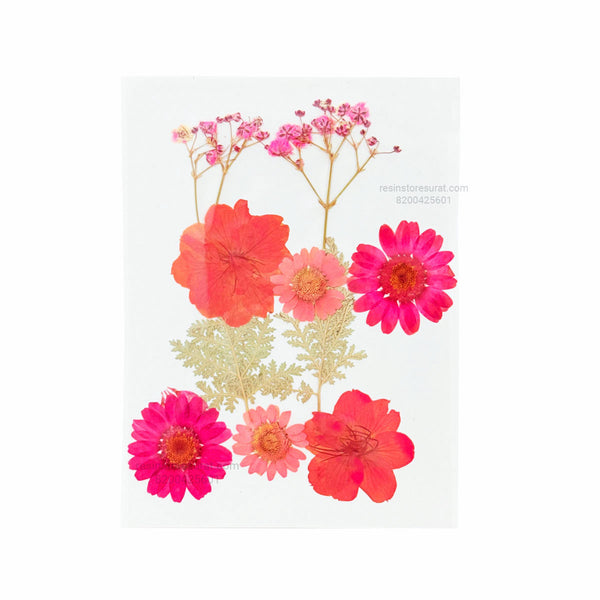 10 in 1 Pink Red Pressed Flower - Fl172