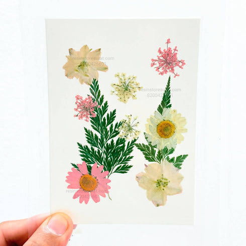 10 In 1 Pressed Dry Flowers B
