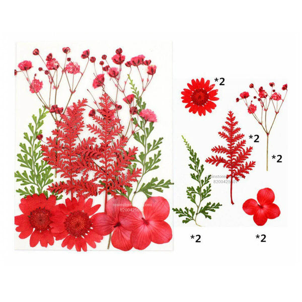10 In 1 Red Pressed Dry Flowers