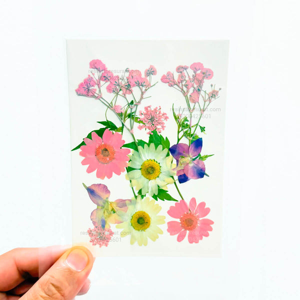 12 In 1 Pressed Dry Flowers