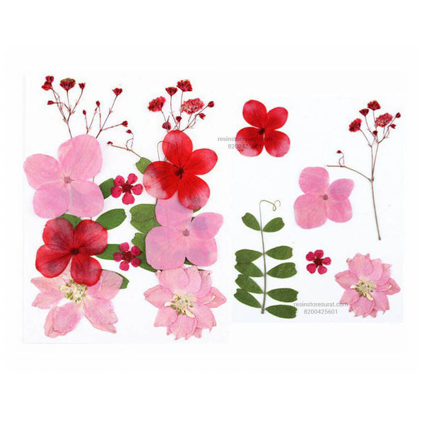 12 In 1 Red Pink Pressed Dry Flowers