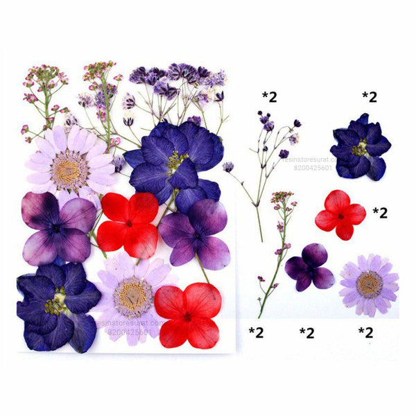12 In 1 Red Purple Pressed Dry Flowers - 027