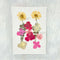 12 In 1 Pressed Dry Flower red white