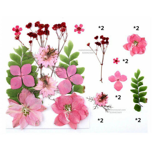 12 In 1 Pink green Pressed Dry Flowers