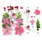 12 In 1 Pink green Pressed Dry Flowers