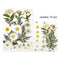 15 In 1 Pressed Dry Flowers white