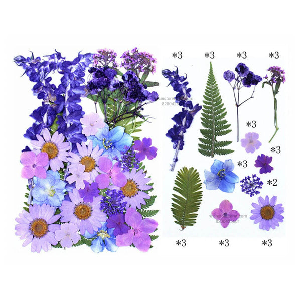 32 In 1 Purple Pressed Dry Flower