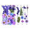 32 In 1 Purple Pressed Dry Flower