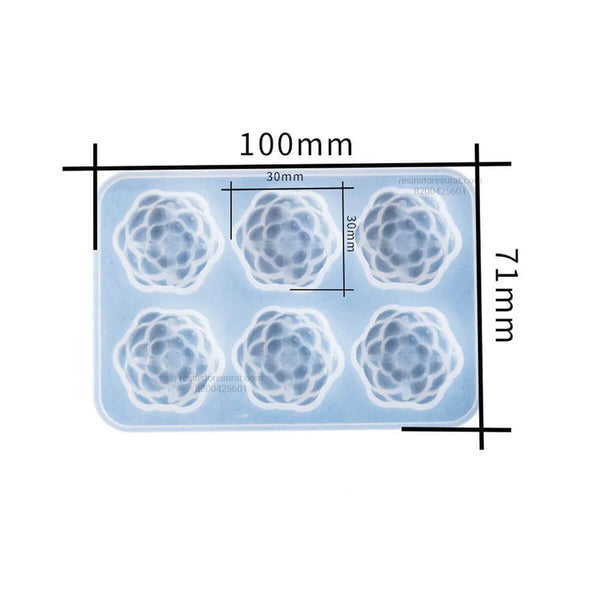 6 Cavity 3D Flower Mould