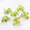 Artificial Leaf Bunch Pack Of 5 Bunch