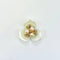 Big Three Petal Gold Pearl Flower