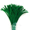 Dark Green Pipe Cleaner