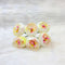 Delush Matka Pollen Flowers White