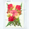 Rose Leaf Pressed Flower Sheet - 039