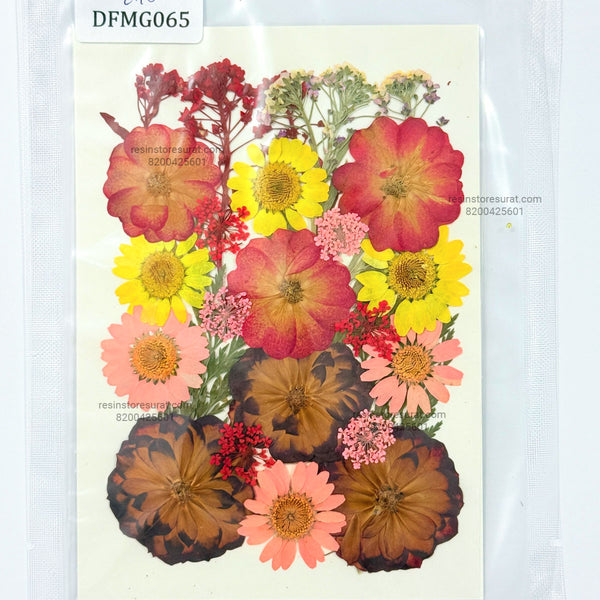 Real Mix Pressed Flower Sheet - 065