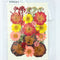 Real Mix Pressed Flower Sheet - 065
