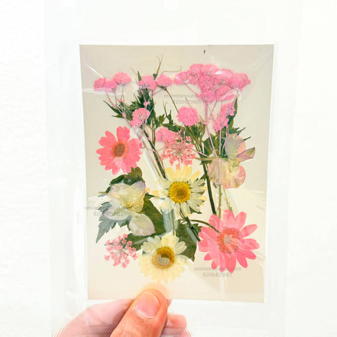 12 In 1 Pressed Flowers 174