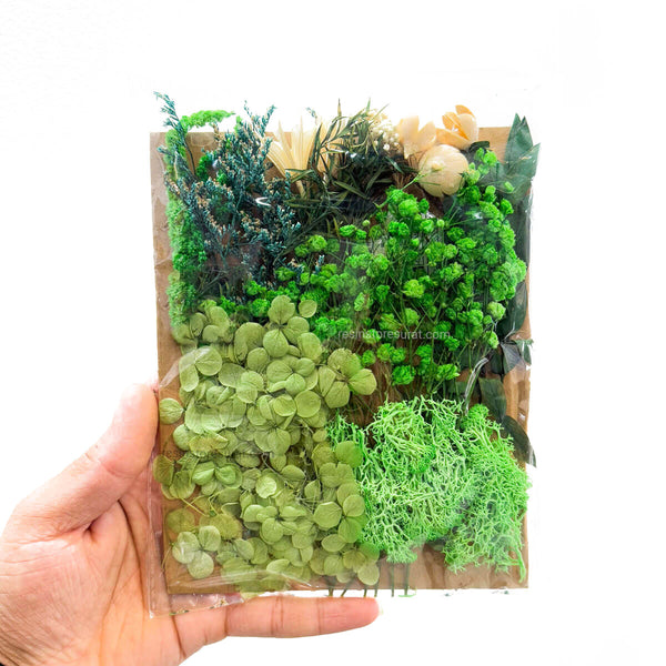Dry Flower Packet - R63