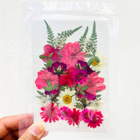 Pressed and Dry Flower For Resin - 086