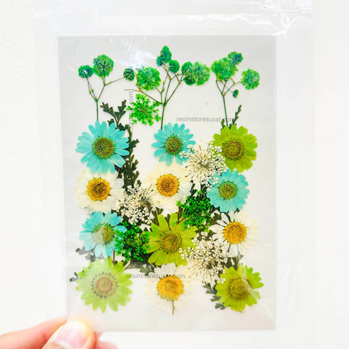 Green Pressed and Dry Flower For Resin - 098