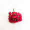 Red Sun Flower 6 Pcs Bunch