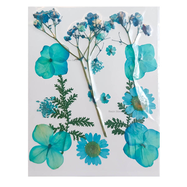 Pressed Dry Flower F