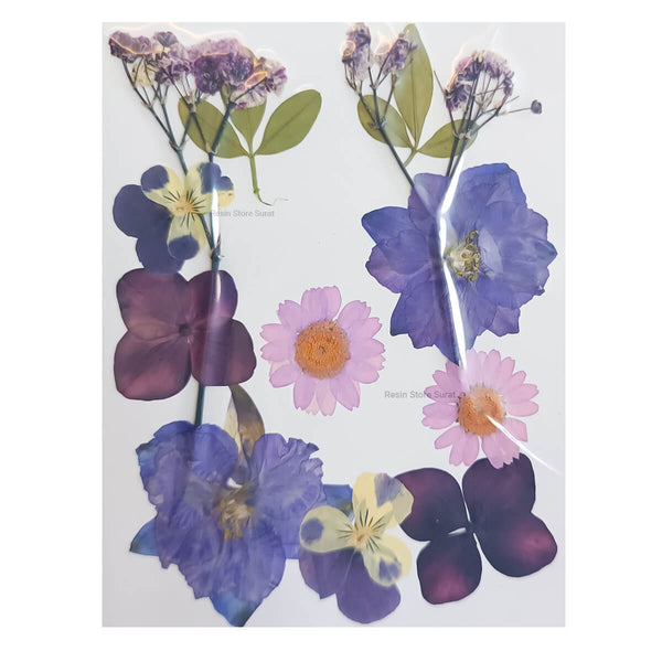 Pressed Dry Flower G