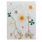 Pressed Dry Flower H