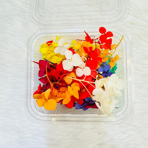 Hydrangea Dry Flower Box - Random