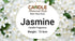 Jasmine Candle Fragrance - 15 ml