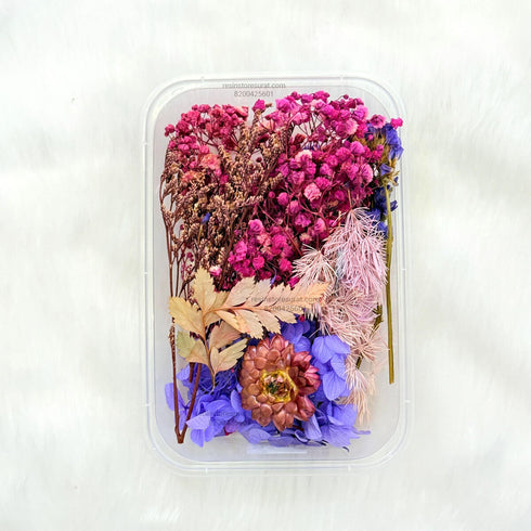 Lavender Color Dry Flower Box - FL04