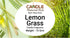 Lemon Grass Candle Fragrance - 15 ml