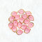 Light Pink Gold Border Leaf Petal N