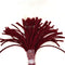 Maroon Pipe Cleaner - P14