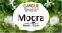 Mogra Candle Fragrance - 15 ml