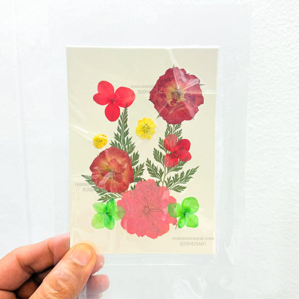 11 In 1 Pressed Flowers 012