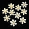 Off White 6 Petal Flower Beads