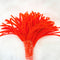 Orange Pipe Cleaner - P18