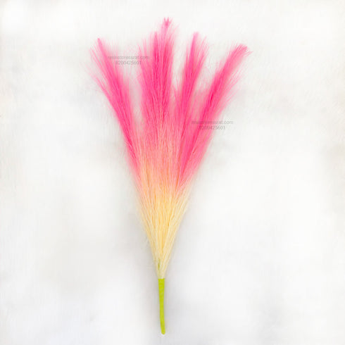 Dual Tone Pampas Grass - White Pink