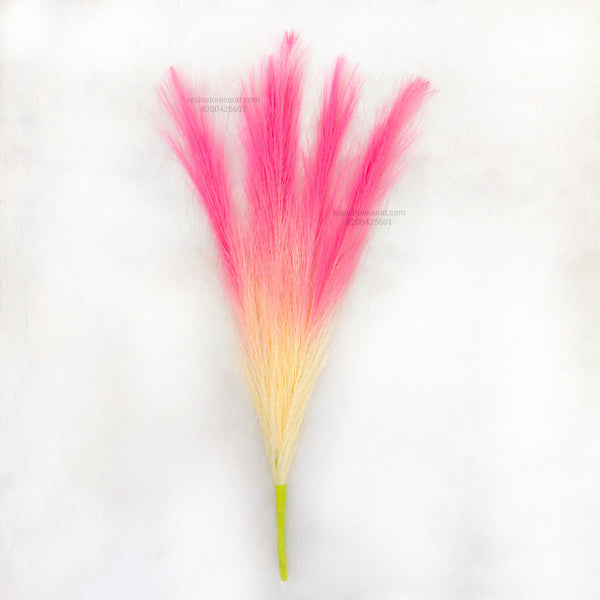 Dual Tone Pampas Grass - White Pink