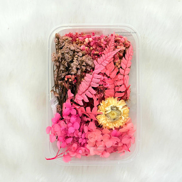 Pink Color Dry Flower Box - FL07