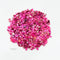 Pink Shell Granule