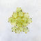 Pista Green Acrylic flower with golden border