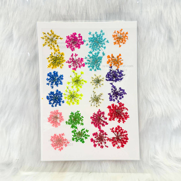 Queen Breath Pressed Flower Sheet