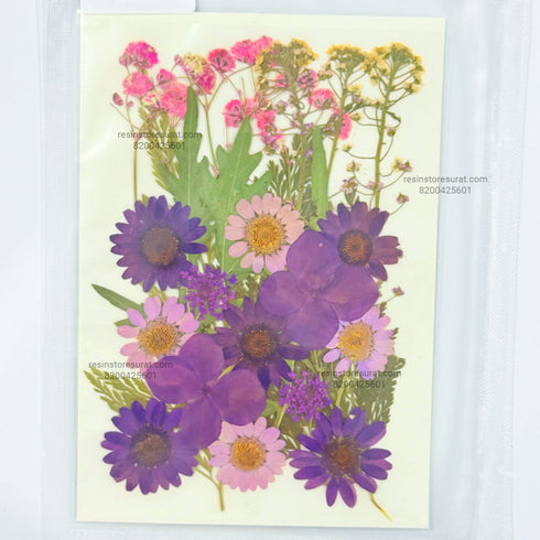Purple Pressed Flower Sheet - 094