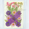Purple Pressed Flower Sheet - 094