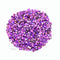 Purple Shell Granule