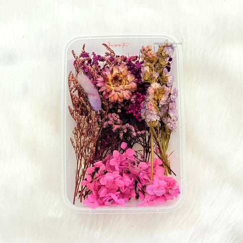 Rani Color Dry Flower Box - FL06